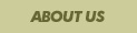 About BJ Automation
